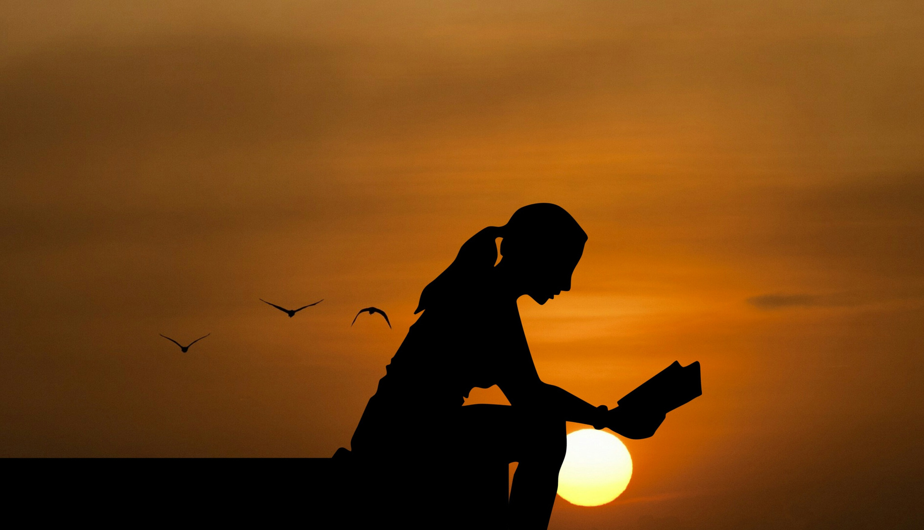 Silhouette of a Woman Reading a Book
